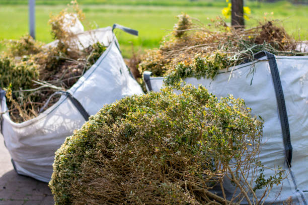 Best Furniture Removal Near Me  in Batavia, OH